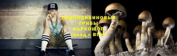 ПСИЛОЦИБИНОВЫЕ ГРИБЫ Алексеевка