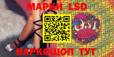 spice Ярославль