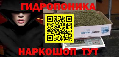 мдпв Янаул
