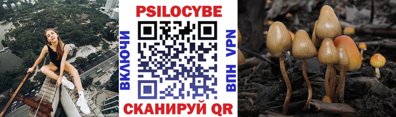 Псилоцибиновые грибы Psilocybine cubensis продажа наркотиков Усть-Лабинск