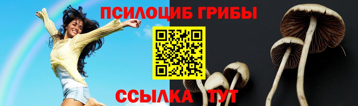 купить  сайты  Вход с VPN  Усть-Лабинск  Галлюциногенные грибы GOLDEN TEACHER 